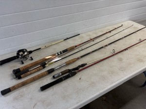 5 Fishing Poles and 1 Reel