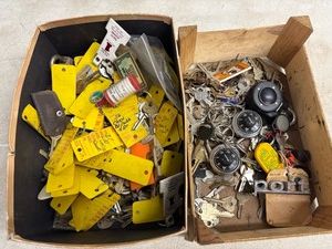 Huge Lot of Assorted Keys
