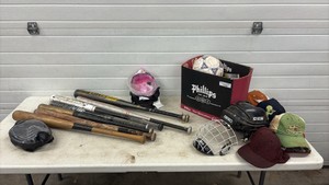 Baseball bat sporting goods basketball soccer balls hats and more