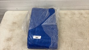20 x 30 blue tarp