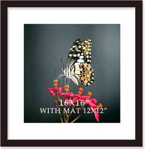 16x16 Frame Black With Mat 12x12 Solid Wood Picture Frames Wall Mounting (1 pack, 16x16 Inch)