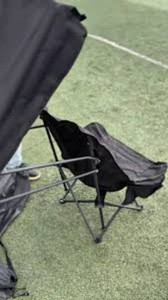 Amazon.com YOUNG WOOD Portable Camping Chair Beach Chair ...