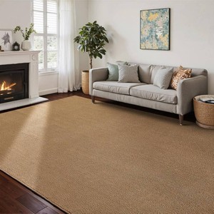 CHAMPLANT Washable Area Rug 6x9 Feet Brown Non Slip Living Room Kitchen Rugs Indoor Entryway Rug Floor Carpet for Dining Living Room Bedroom