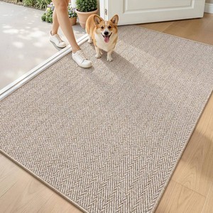 LUMI Ultra Thin Indoor Door Mat 48x72, Entrance Doormat, Beige