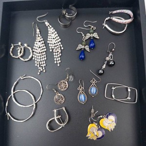12-Pair Mixed Fashion Earring Collection