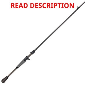 Lews TP2 Casting Rod