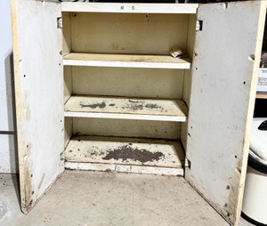 Vintage Industrial Metal Two-Door Storage Cabinet with Shelves
