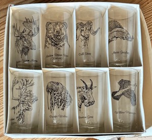 Vintage North American Wildlife Drinking Glass Set  8 Tumblers