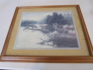 Whitetail Print by Julie A Crocker