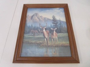 Whitetail Print