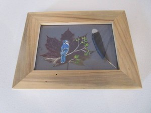 Original Blue Jay on Maple Leaf