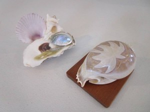 Relief Carved Shell, Collage