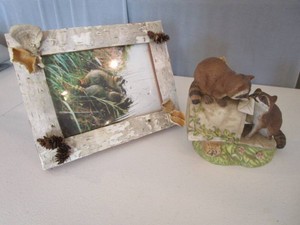 HomeCo Racoons & Photo