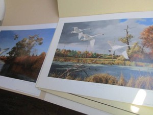 David Maass Prints
