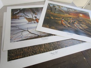 Mark Anderson & Bruce Miller Prints