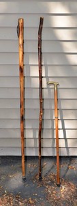Assorted Walking Sticks & Cane
