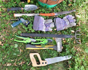 Gardening Tools & Bucket