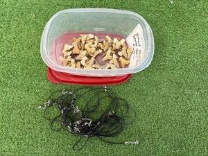 40 Small Sharks Teeth Necklaces