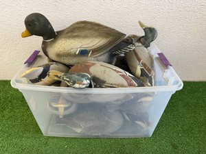 Tote of Duck Decoys