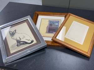 Framed Art Print Group Cat Illustration Signed Botanical Window Scene