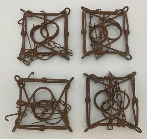 Set Of 4 Small Conibear Traps 5