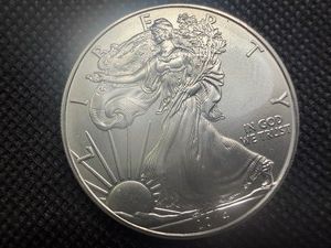 2014 BU Silver American Eagle