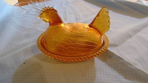 Amber Hen on Nest