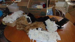 Fur and Lace Collars