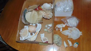 Stone Figures, Seashells and Soapstone Piece
