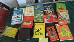 Vintage Bird and other Picture Books