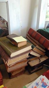 Selection of Vintage Bibles