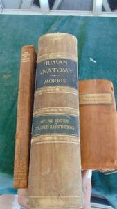 Vintage Leather Books