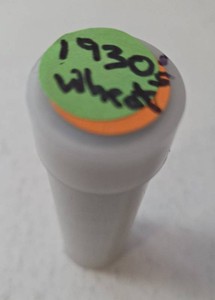 1 Roll of Wheat Pennies from the 1930s