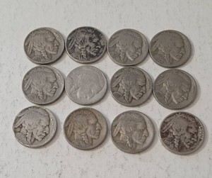 12 - Buffalo Nickels Mixed Dates