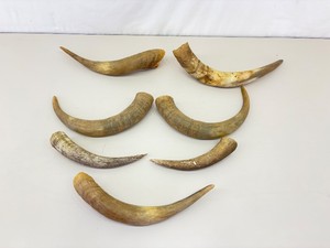 Lot of 7 (3 Sets) Animal Horns&nbsp