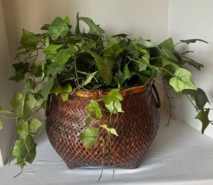 LR - Faux Greenery Arrangement in Woven Basket