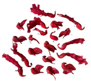U - Red Feathered Bird Assortment