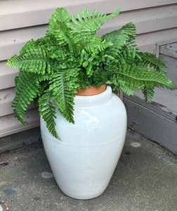 G - Decorative White Planter Pot with Faux Ferns