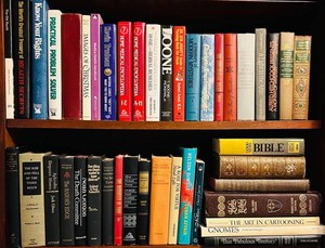 LLR - Hardcover Book Collection - Classic Literature, History & Reference
