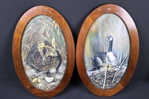 Framed Waterfowl Wildlife Artwork Panels (Lot of 2)