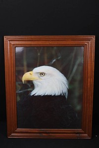 Framed Eagle Artwork Pair (Lot of 2) 24x20 and 29x19