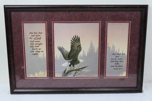 Framed Bald Eagle Isaiah 4031 Scripture Artwork 23.5 x 16