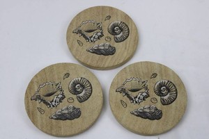 Seashell & Ammonite Drink Coasters With Cork Backing (Lot of 3)