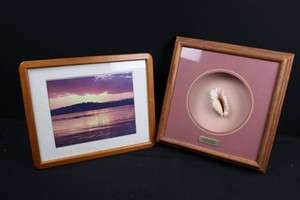 Framed Shell Display & Sunset Photograph Mixed Lot (Lot of 2)