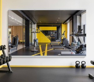$220 Home Gym Mirror Wall Mounted, 55x30, 3PCS