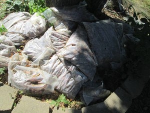 Bulk supply of pre-bagged landscape...