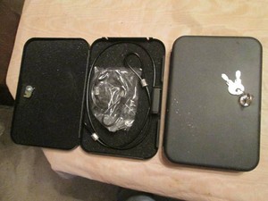 Pistol cases and gun locks