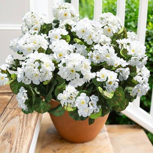 $23 Artificial Geranium Fake Flowers for Outdoors Decoration, 6 Bundles Silk Geraniums White Flower UV Resistant Look Real Faux Plants for Front Door Garden Porch Planter Patio Balcony Yard Indoor Home