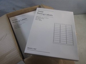 (CS) Case of 10 Inner Boxes of 3000 Mailing Labels 1 x 2 58