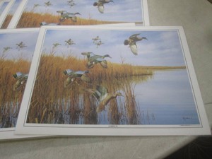 (A-4) Stack of New Wildlife Scene Placemats12 x 16
